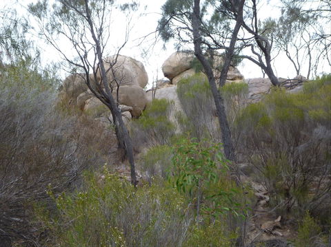 Tolmer Rocks - Mount Boothby Conservation Park - Accommodation ACT 0