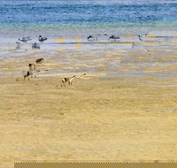 Towra Beach - Accommodation ACT