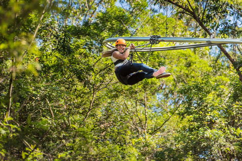 TreeTop Crazy Rider - Accommodation ACT 0