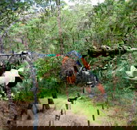 TreeTop Challenge - Accommodation ACT