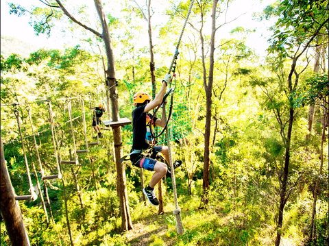 TreeTop Challenge - Accommodation ACT 1