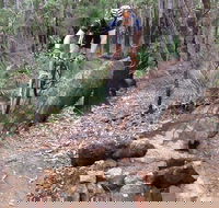 Turner Hill Mountain Bike Trail Murray - Accommodation ACT