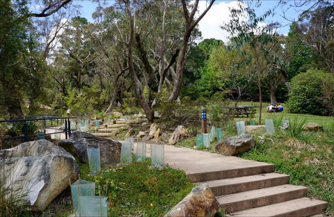 Wentworth Falls Picnic Area - Accommodation ACT 0