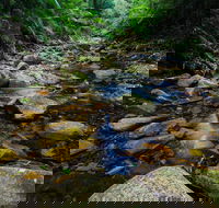 Willi Willi National Park - Accommodation ACT