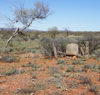 Winnecke Goldfield Cemetery - Accommodation ACT