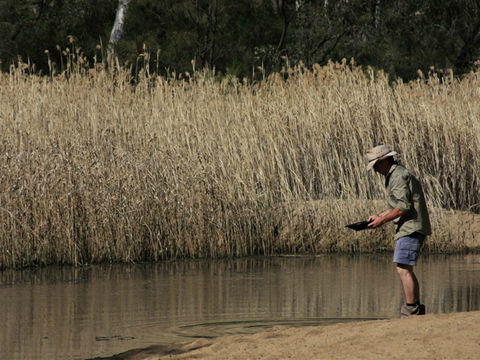 Wooldridge Recreation And Fossicking Reserve - Accommodation ACT 2