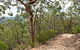 Yango Walking Track - thumb 0