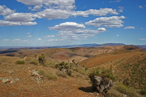 Arden Hills 4WD Track. - Accommodation ACT 0