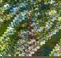 Big Sky National Parks - Accommodation ACT