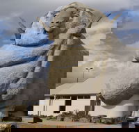 Big Merino - Accommodation ACT