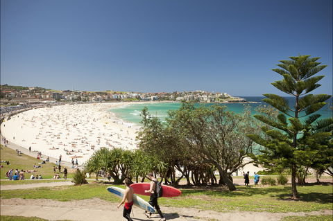 Bondi To Coogee Coastal Walk - Accommodation ACT 0