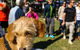 Burleigh Art And Craft Markets - thumb 2