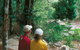 Cedar Creek Falls - thumb 1