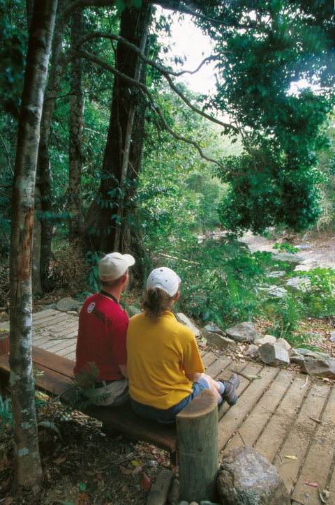 Cedar Creek Falls - Accommodation ACT 1