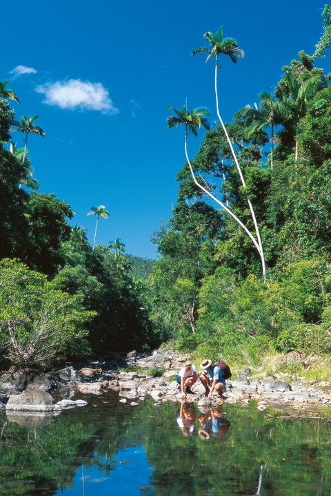 Cedar Creek Falls - Accommodation ACT 2