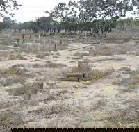 Culgoa Connellys Track - Accommodation ACT