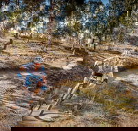 Cycle Mogo State Forest - Accommodation ACT