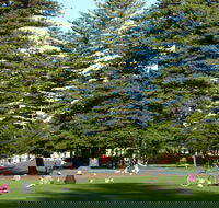 Esplanade Reserve - Accommodation ACT