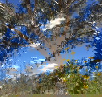 Euroa Arboretum - Accommodation ACT