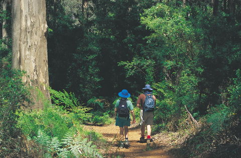 Gloucester National Park - Accommodation ACT 0