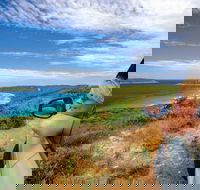 Great Ocean Drive - Accommodation ACT