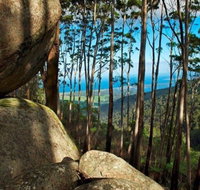 Gulaga Mountain Walk - Accommodation ACT