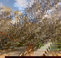 Lachlan River Swing Bridge - Accommodation ACT