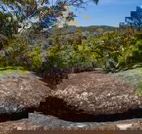 Marramarra Ridge to Smugglers Ridge walking track - Accommodation ACT