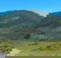 Monument Hill Walking Track - Accommodation ACT