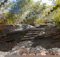 Mooney Mooney nature walk - Accommodation ACT