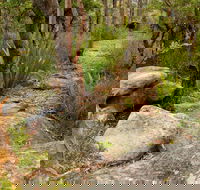 Mount Olive Trail - Accommodation ACT