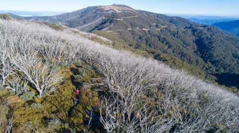 Mt Buller Bike Park - Accommodation ACT 0