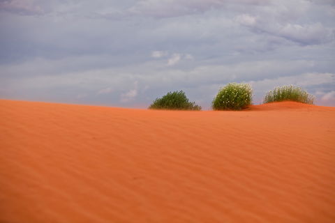 Munga-Thirri - Simpson Desert Conservation Park And Regional Reserve - Accommodation ACT 0