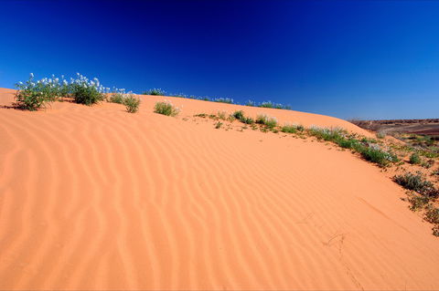 Munga-Thirri - Simpson Desert Conservation Park And Regional Reserve - Accommodation ACT 1