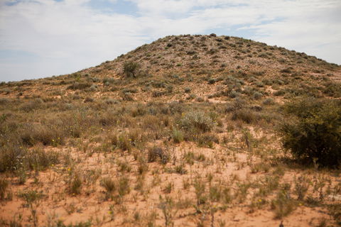 Munga-Thirri - Simpson Desert Conservation Park And Regional Reserve - Accommodation ACT 2