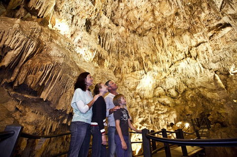 Ngilgi Cave - Accommodation ACT 1