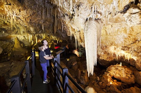 Ngilgi Cave - Accommodation ACT 2