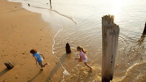 Phillip Island - Accommodation ACT 0