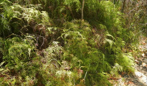 Powder Magazine Walking Track - Accommodation ACT 0
