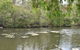 Princess Hills, Girringun National Park - thumb 1