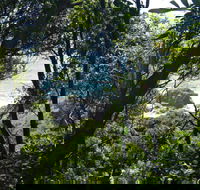 Rainforest Walking Track Hat Head National Park - Accommodation ACT