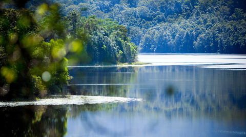 Rocky Creek Dam - Accommodation ACT 0