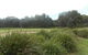 Shoalhaven Heads Golf Club - thumb 0