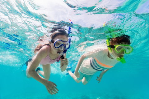 Snorkel Hat Head Creek - Accommodation ACT 0