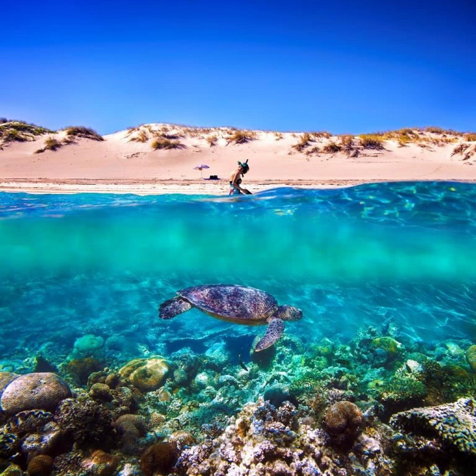 Cape Range National Park WA Accommodation ACT