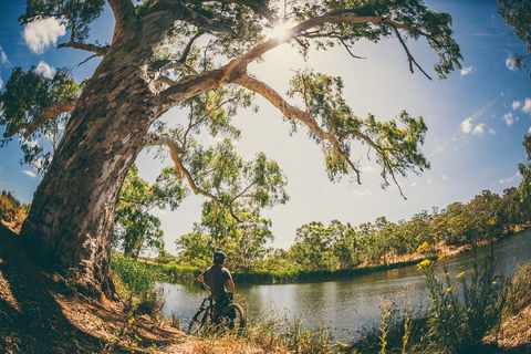 Sturt Gorge Recreation Park - Accommodation ACT 0