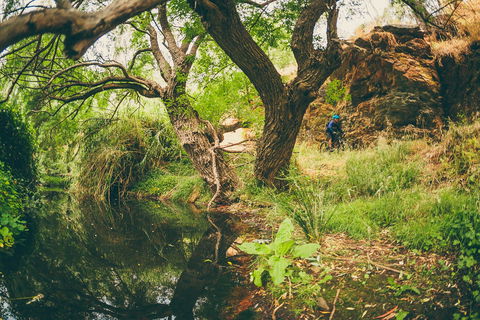 Sturt Gorge Recreation Park - Accommodation ACT 1