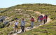 The Sole Walk At Hillocks Drive - thumb 0