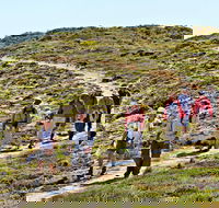 The Sole Walk at Hillocks Drive - Accommodation ACT