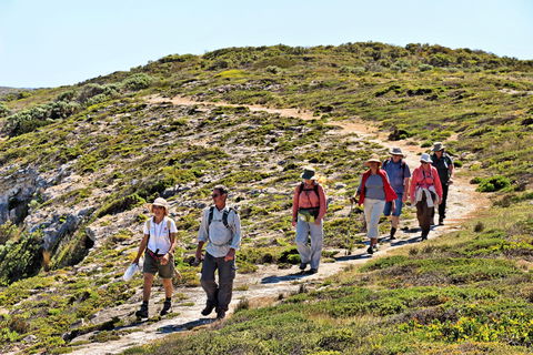 The Sole Walk At Hillocks Drive - Accommodation ACT 0